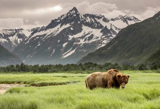 ALASKA