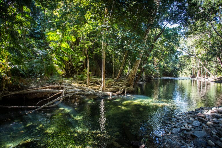 Entlang der Küste von Queensland 