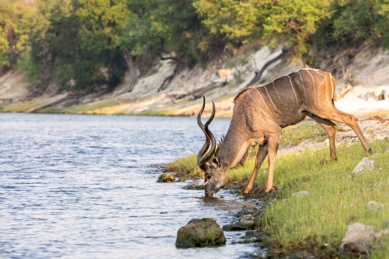 Durch die Nationalparks in Botswana