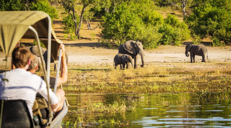 Safari von Kapstadt über Namibia und Botswana bis zu den Victoriafällen