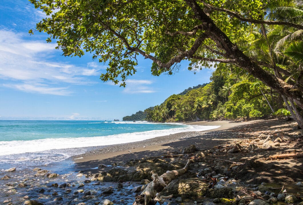 Corcovado NP – Artenreiches Naturparadies