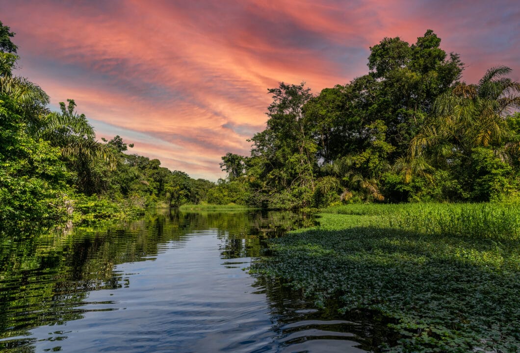 Tortuguero NP – Zu Besuch bei den Schildkröten