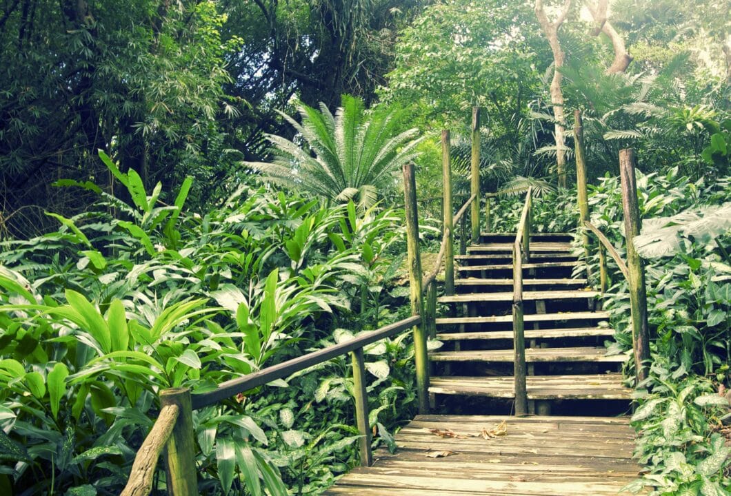 Garden of the Sleeping Giant