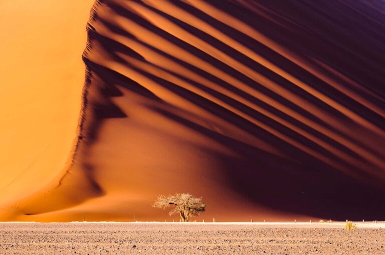 Namibia Individuell - Wüste, Wildnis und Weite