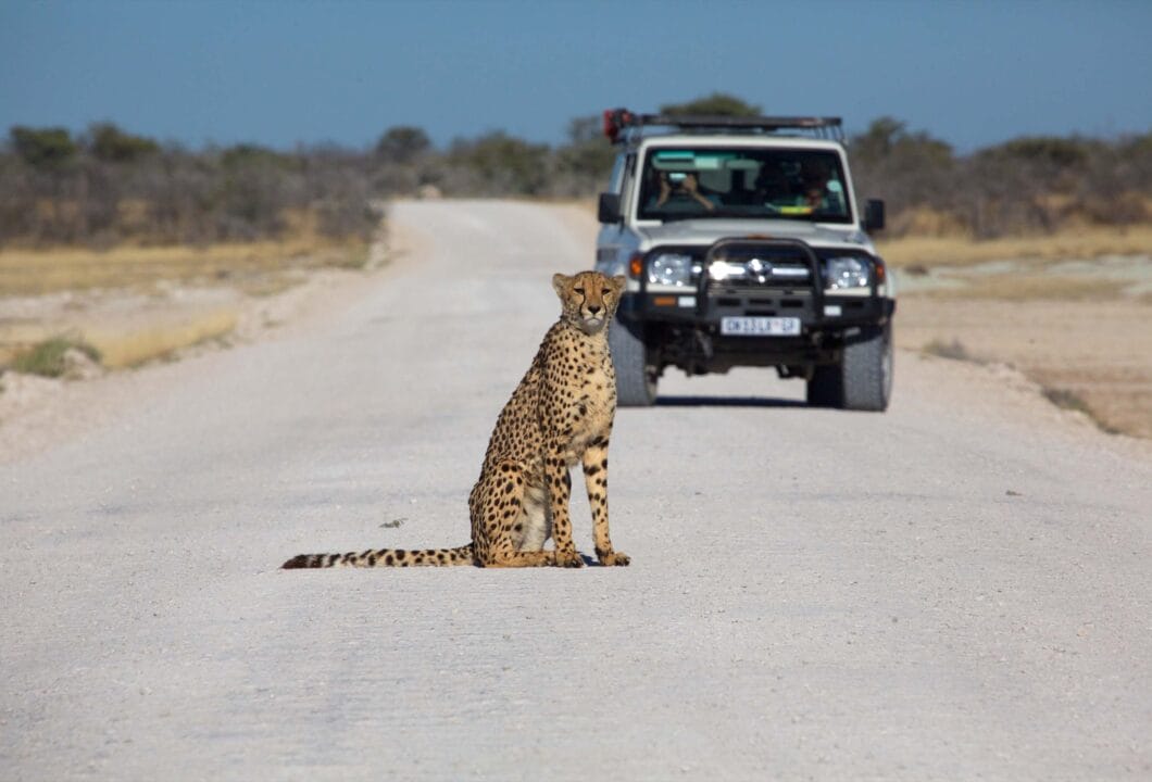Mietwagenreise in Namibia