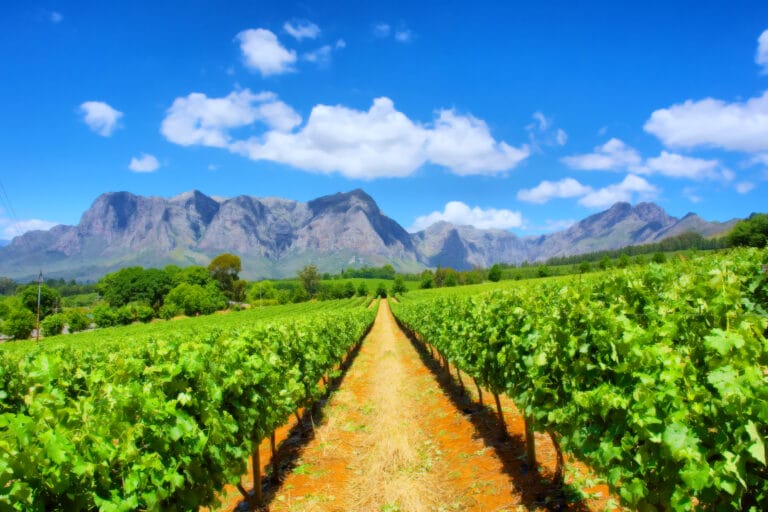 Kapstadt, Garden Route & Safarierlebnisse für Entdecker