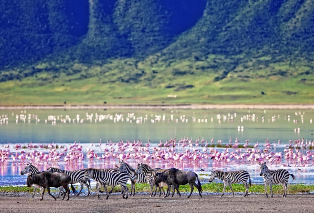 Ngorongoro-Krater - Ein riesiger, vulkanischer Krater voller Leben