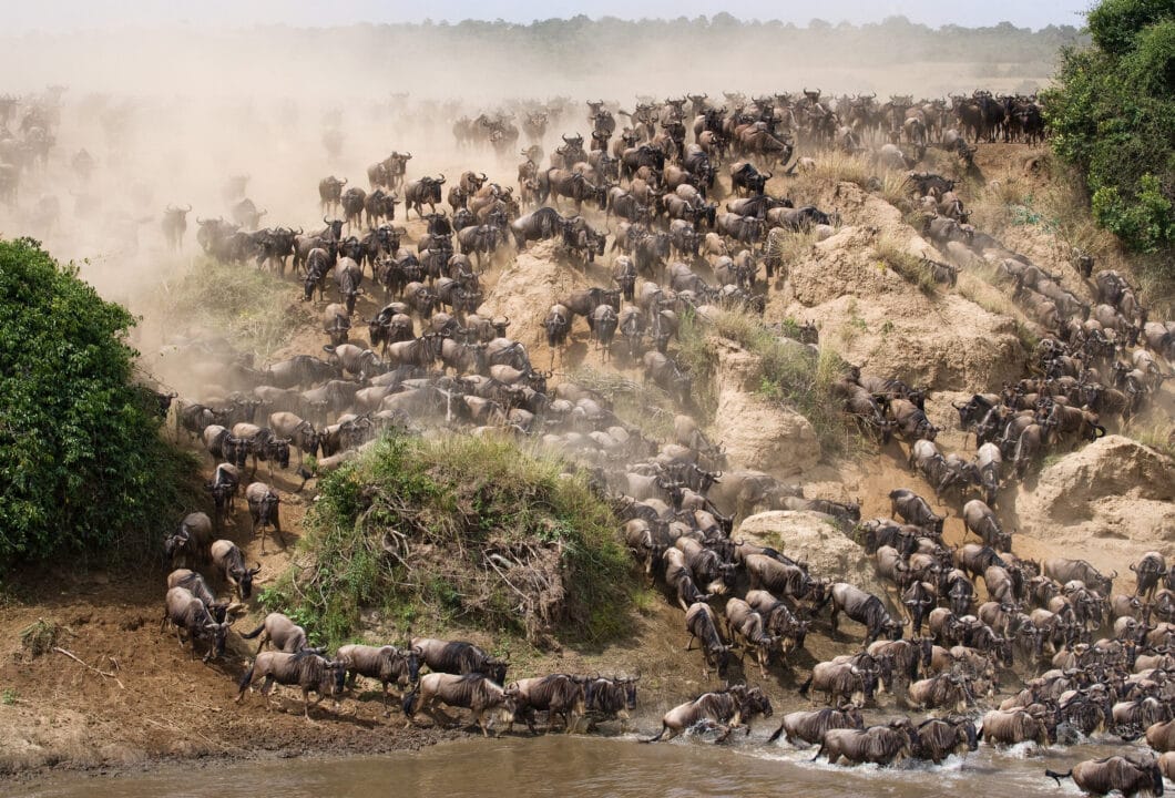 Serengeti – Weite Tierparadiese im unendlichen Grasland