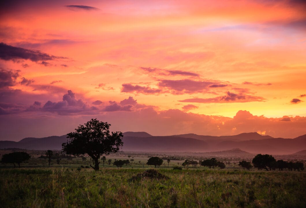Kidepo Valley - authentische afrikanische Wildnis