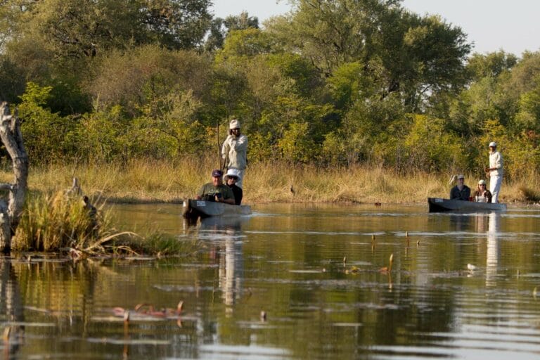 Safari von Kapstadt über Namibia und Botswana bis zu den Victoriafällen