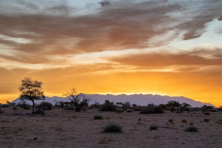 Außergewöhnliches Namibia im Mietwagen